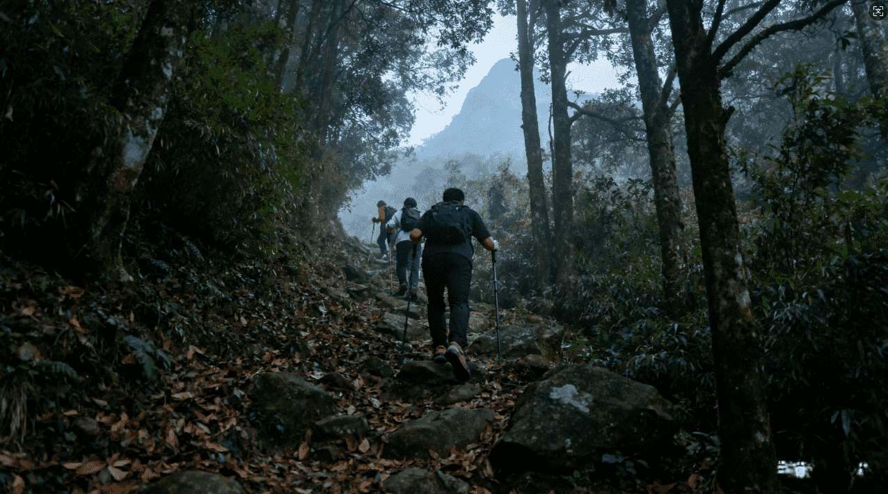 老王1.0版加速器在线免费下载便捷途径